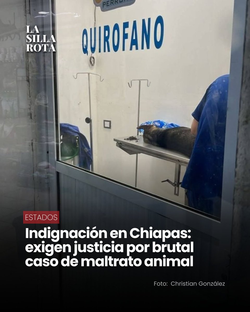 🐶⚠️ En Tapachula, un hombre fue exhibido tras castrar a su perro con un machete, lo que generó indignación entre testigos y en redes sociales, donde se exige castigo por el acto de crueldad.

🚨💔 Autoridades ya investigan el caso, mientras organizaciones y rescatistas lograron