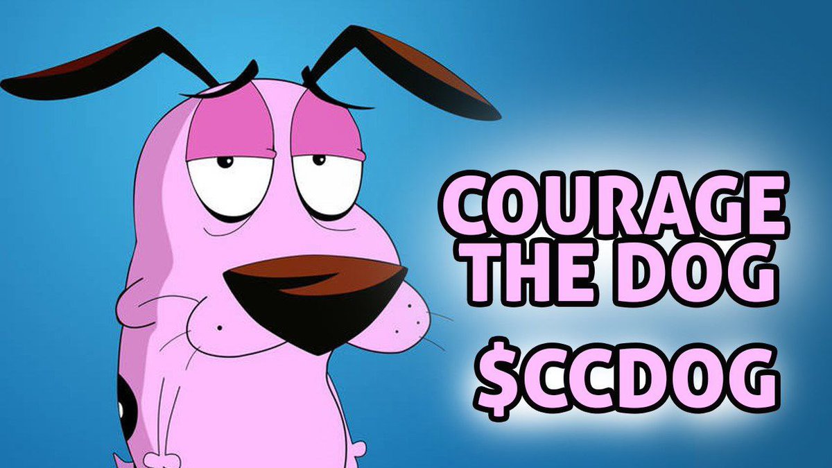 CCDOG - SOL tweet media