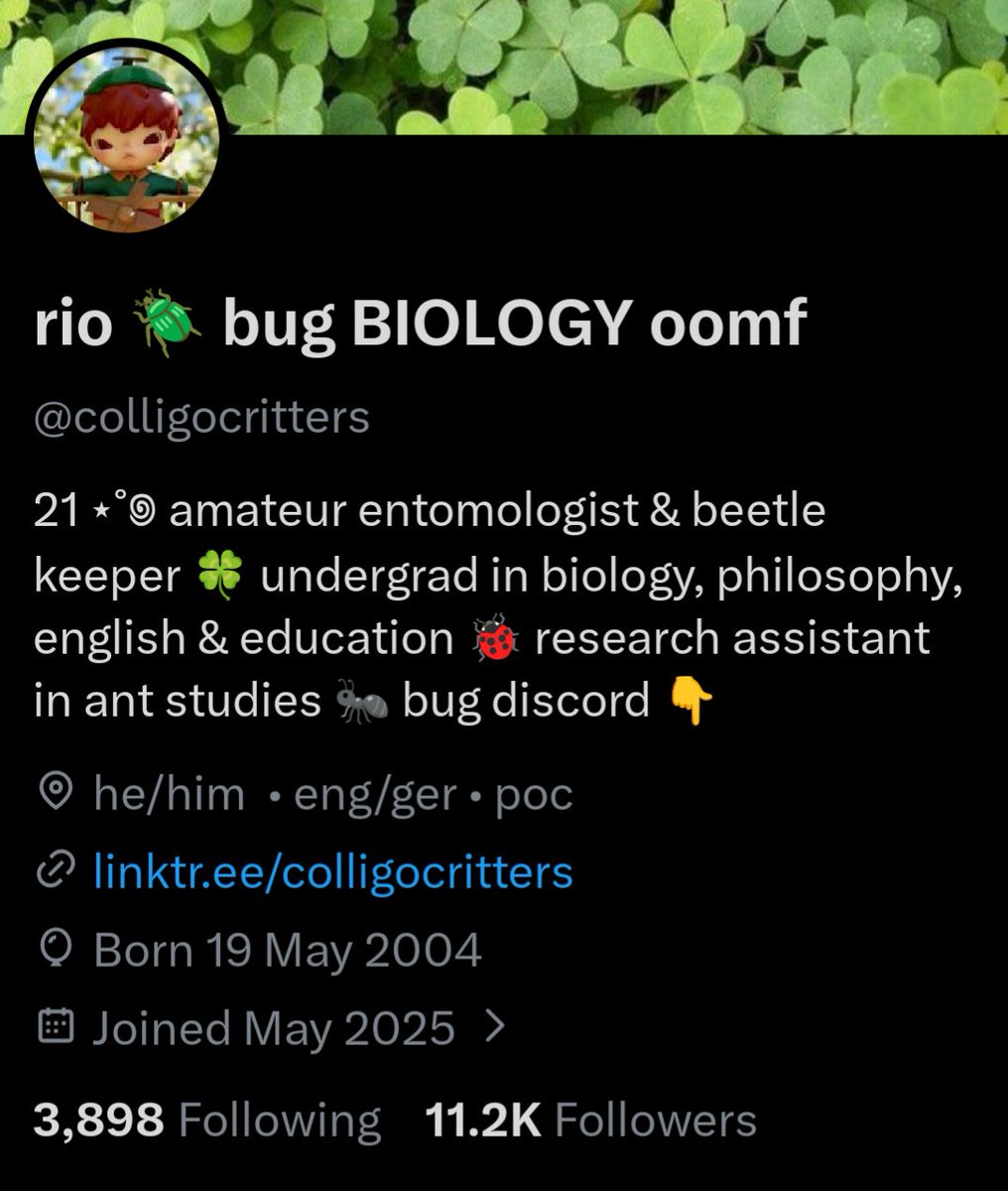 rio 🪲 bug oomf tweet media