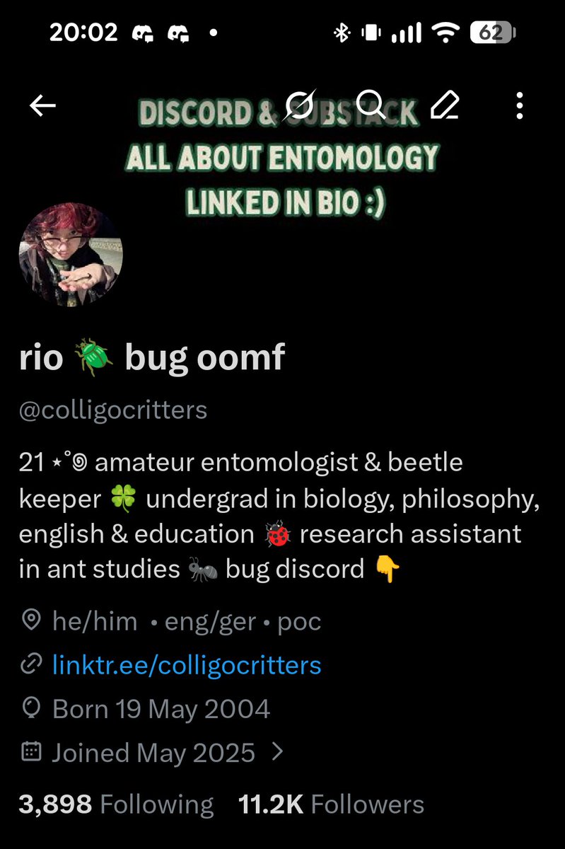 rio 🪲 bug oomf tweet media