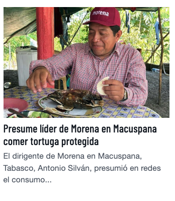 EduPortas tweet media