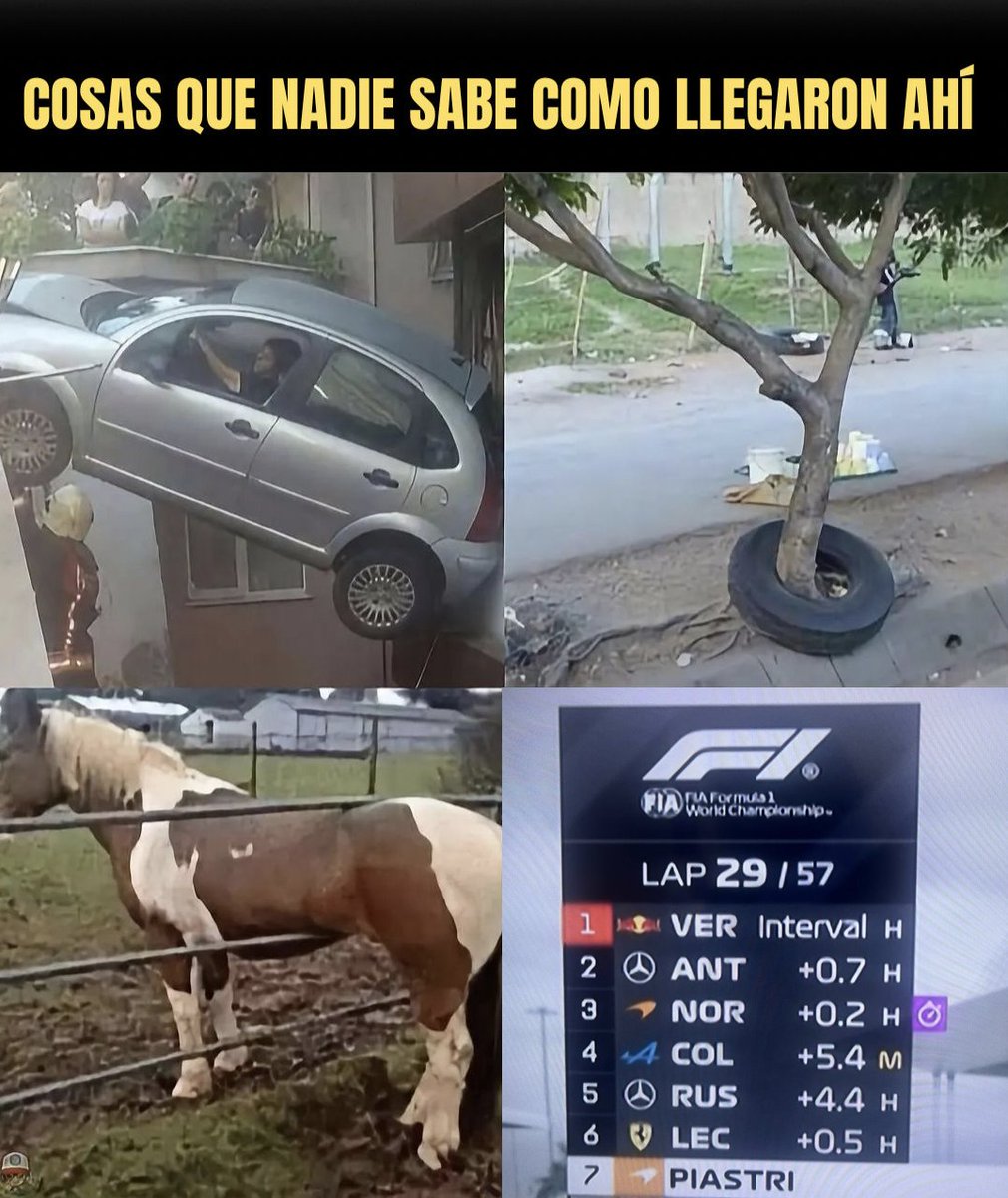 brianrappaport's tweet photo. Resumen del GP de Miami https://t.co/7DOqFL2uY1