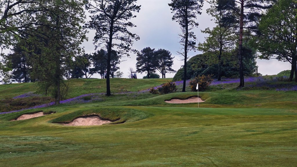 GolfXuk's tweet photo. Barely #ThreePositives from 9 holes of lack of sleep, tight hamstrings and drizzle golf.
1) Average first putt length of 15ft (18ft avg).
2) A unique round of 100% bogies.
3) Shot of the day was said to be the drive on 16. Mayor's office. Secured bogie from middle of the fairway. https://t.co/M4ItRQ7YYS