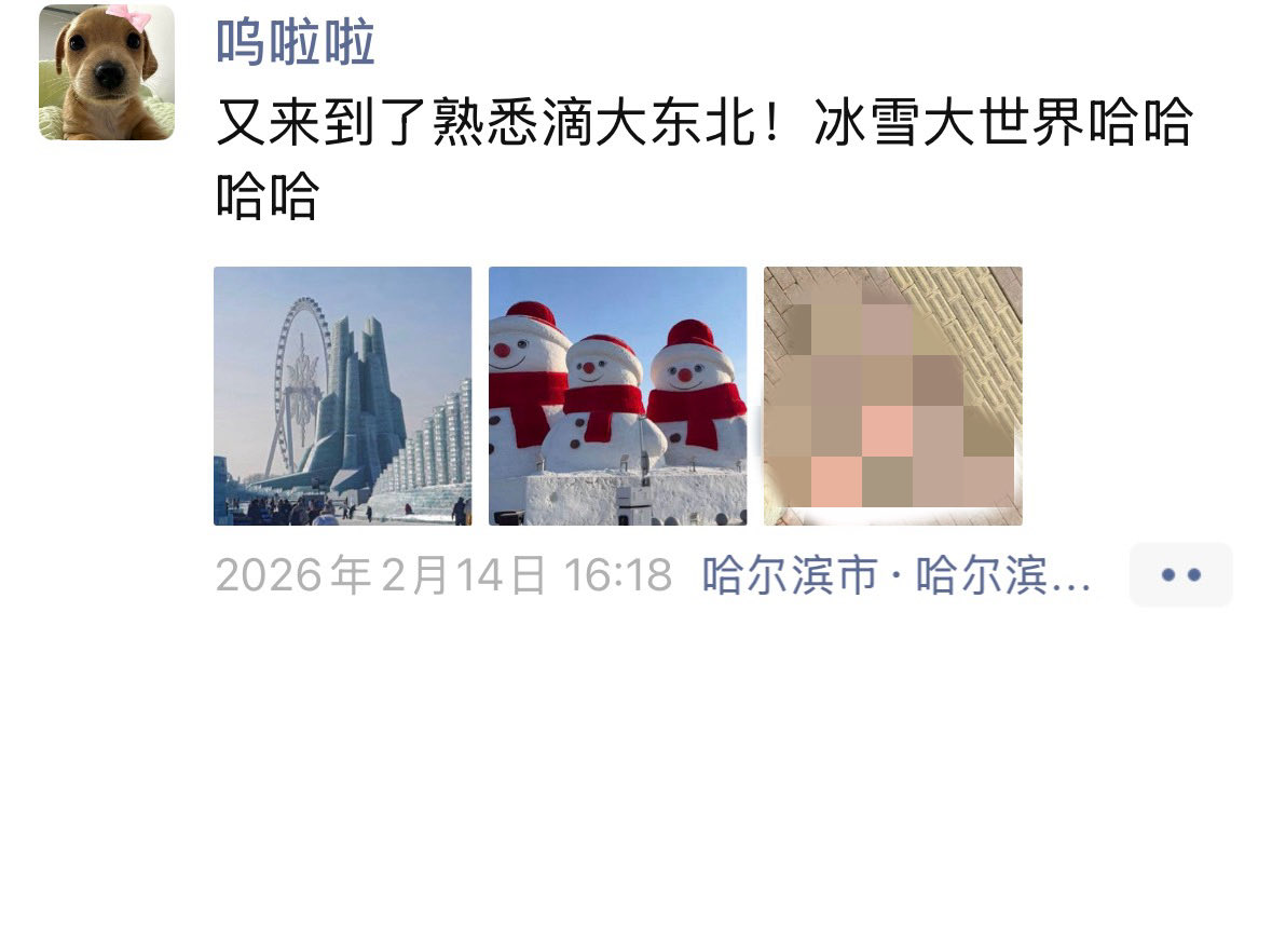 ZeroGravity tweet media