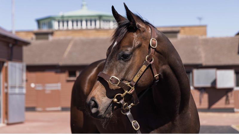 Middleham Park Racing tweet media