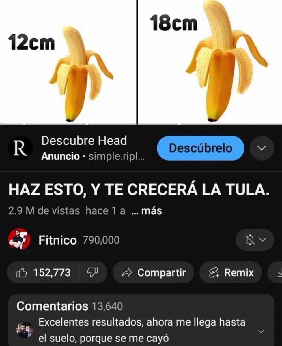 Si te sigo eres un tibio #TibiosDeCojones🍁 tweet media