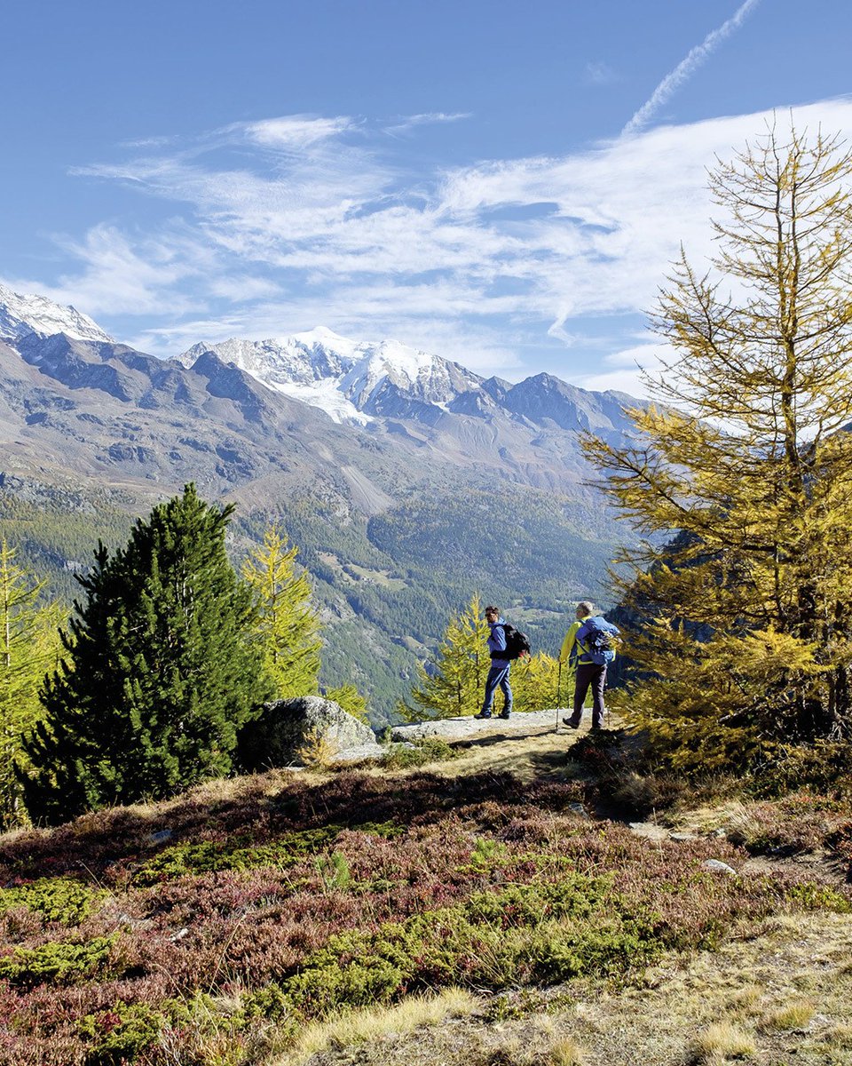 ALPIN - Das Bergmagazin tweet media