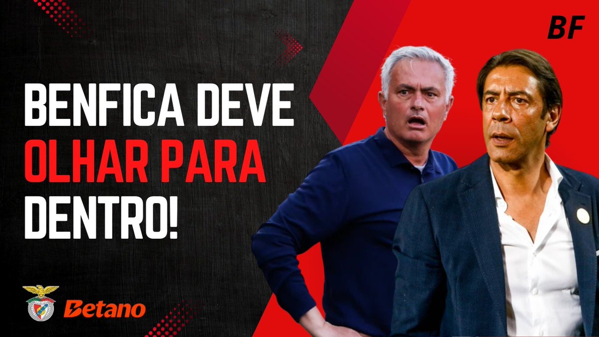 Bruno Francisco tweet media