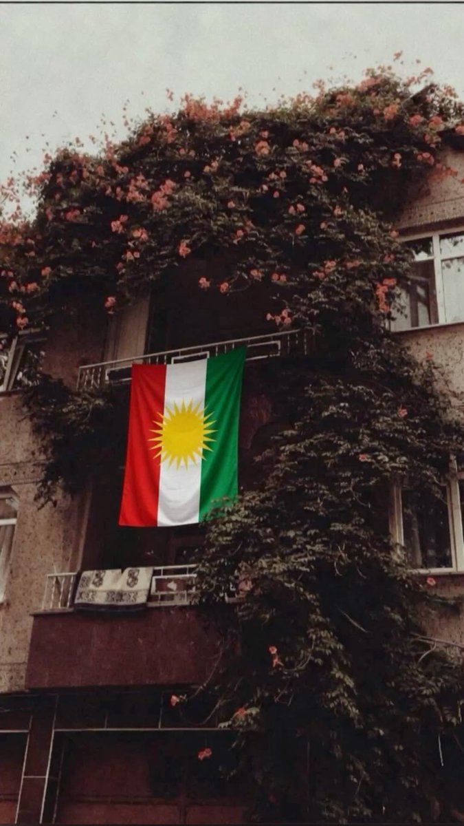 Kurds on X tweet media
