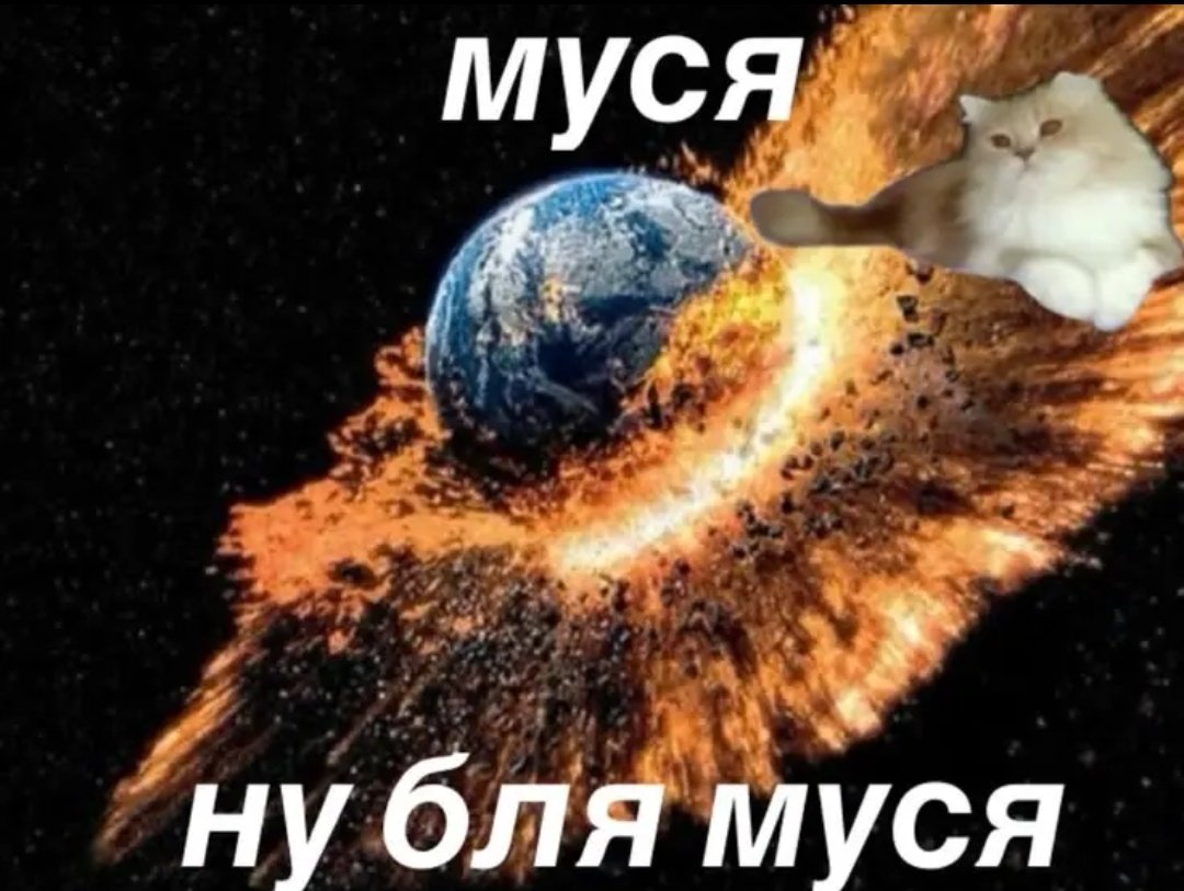 Coll'tar tweet media