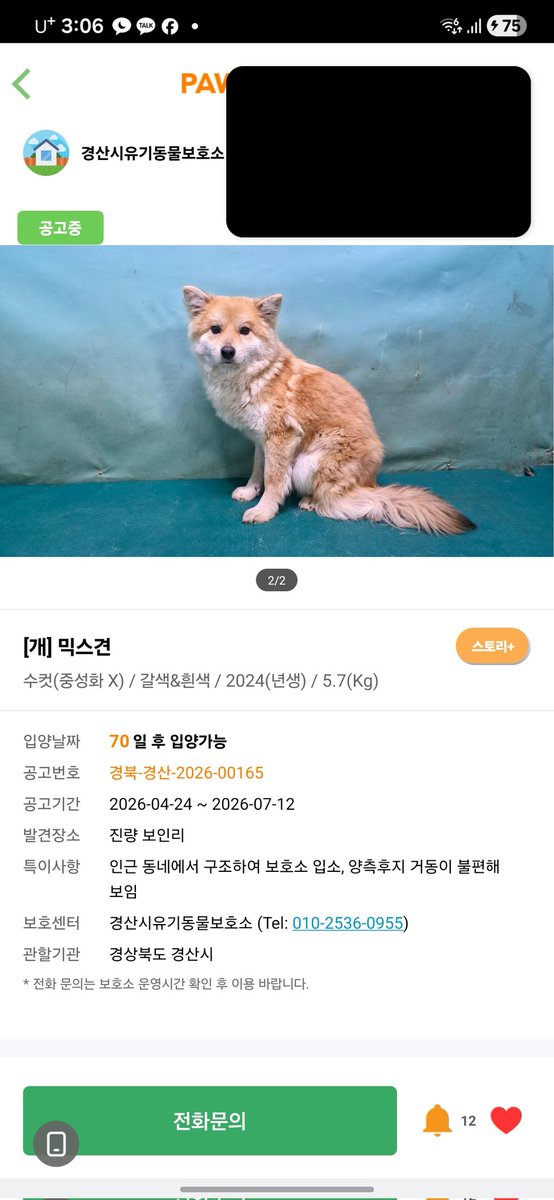 간헐적 짭스키 🐶르웬 🍼 tweet media