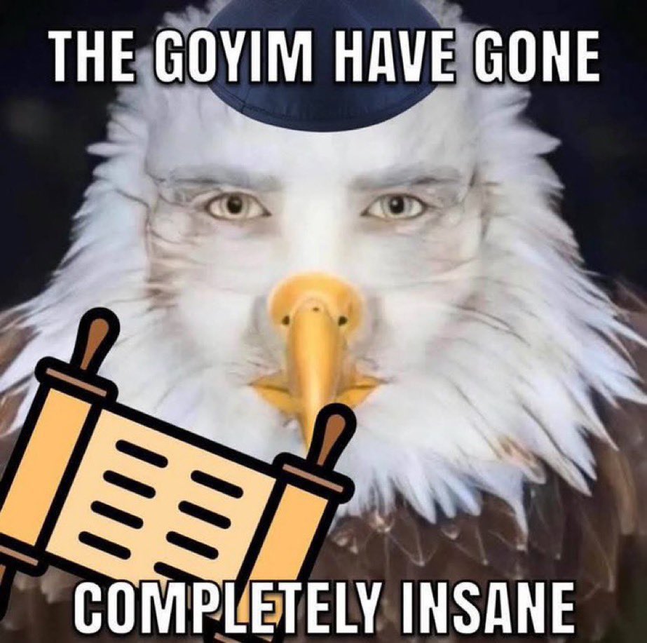 Lex tweet media