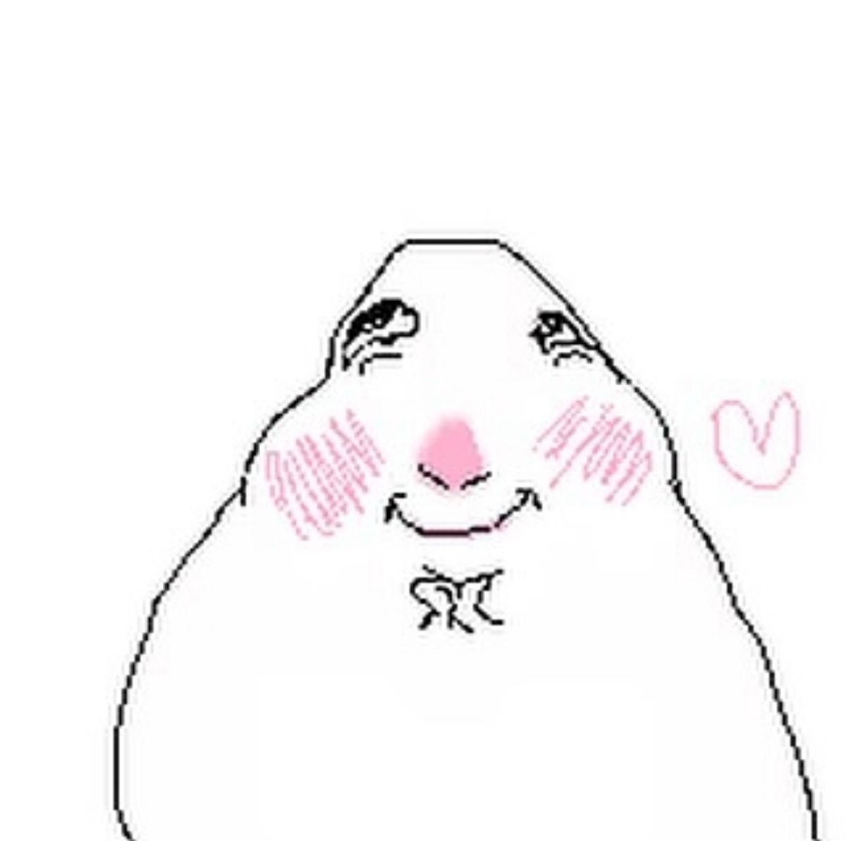 cuerri 🐰🐥 tweet media