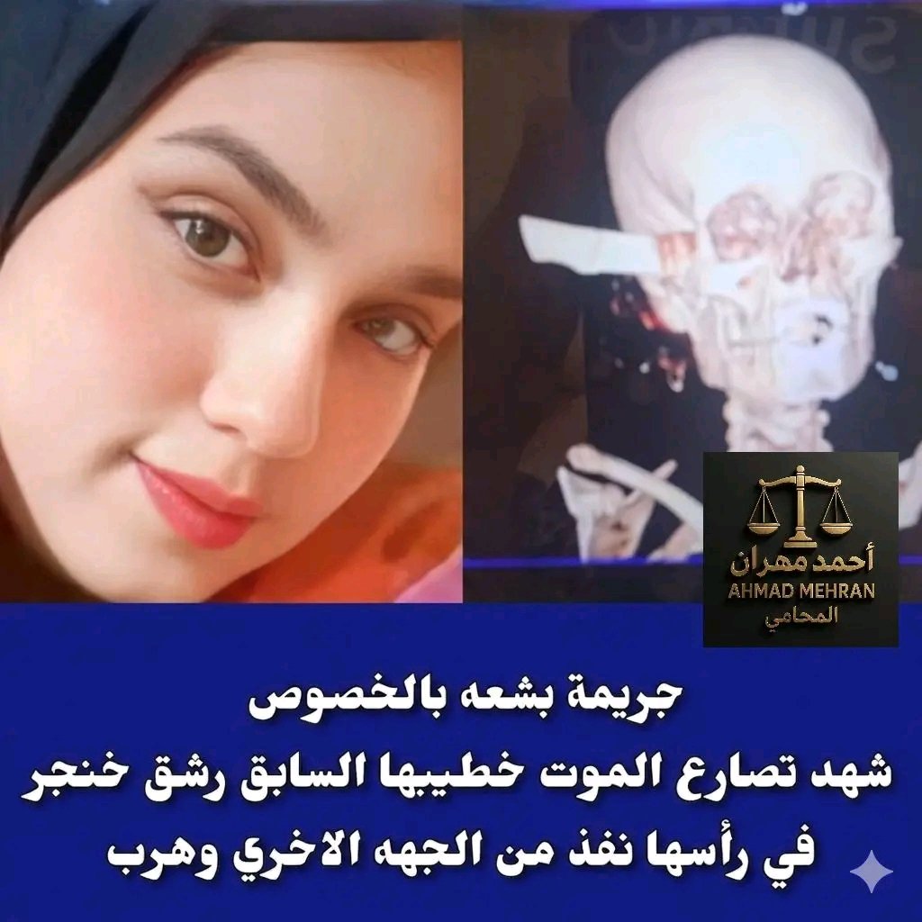 سُقراطَة tweet media