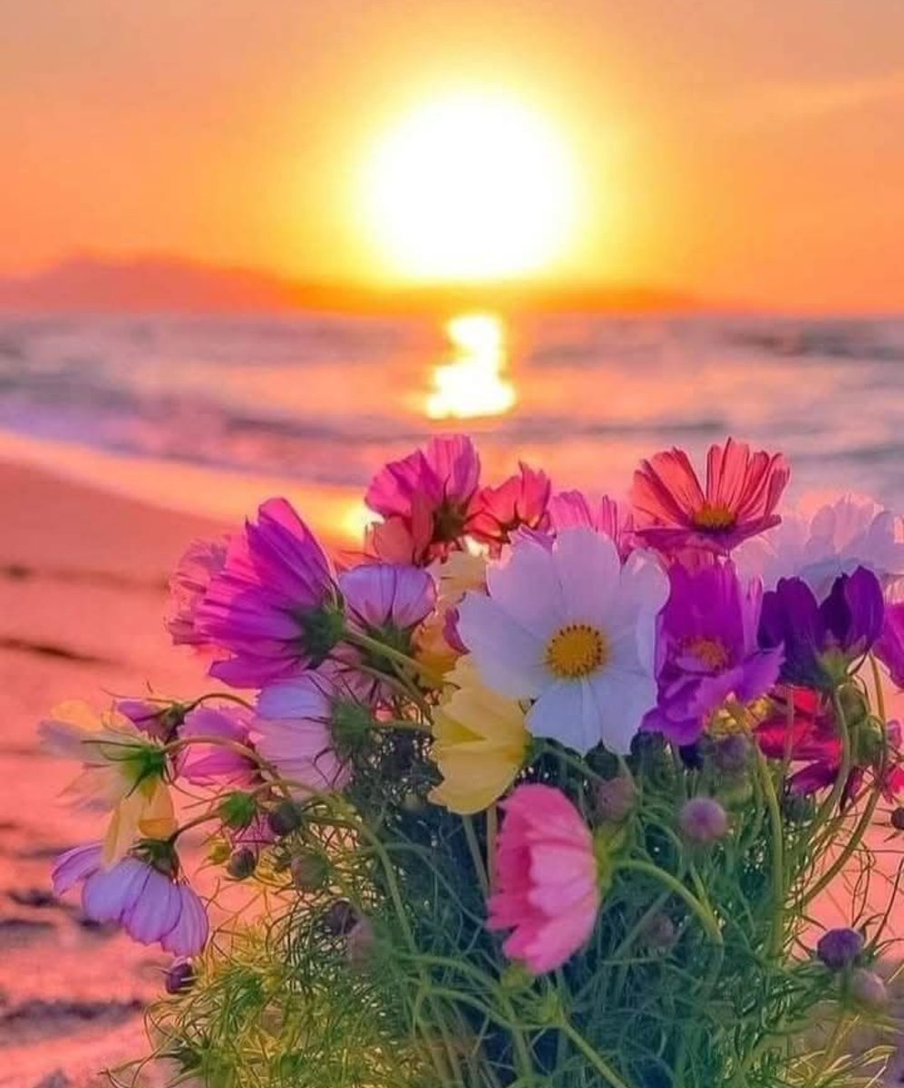 Fran Mascarenhas🌹❤️🇧🇷❤️🌹 tweet media