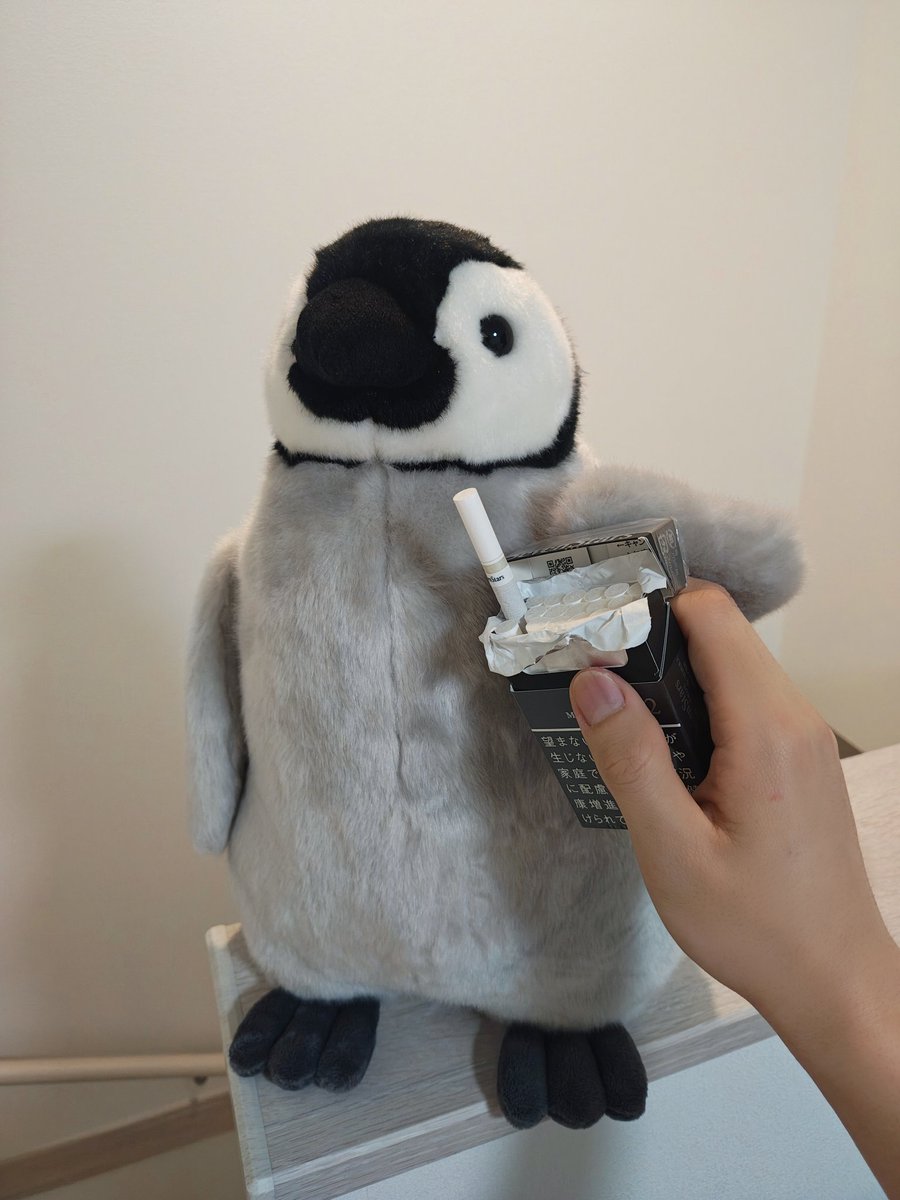 若き金閣よ tweet media