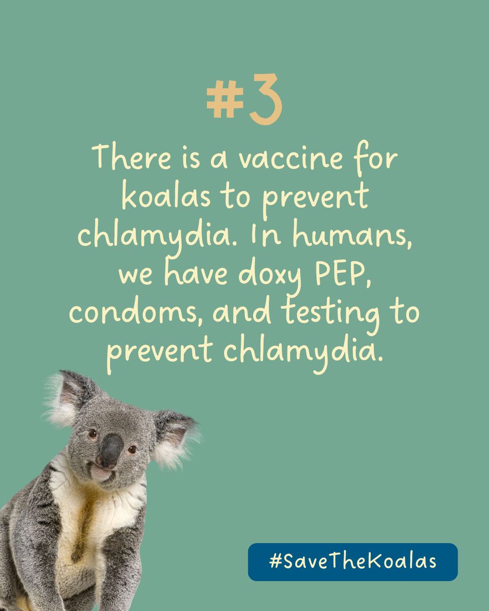 American Sexual Health Association tweet media