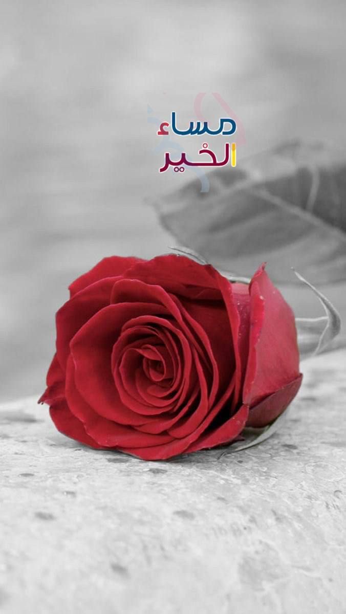 المسافر لله tweet media