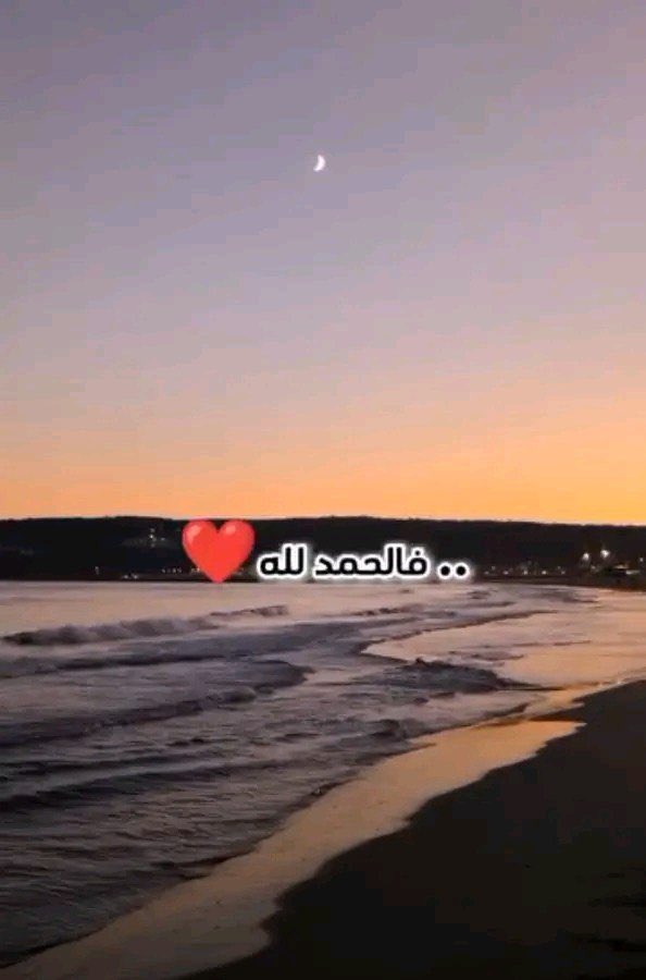 ✨مجرد حلم 💞 tweet media