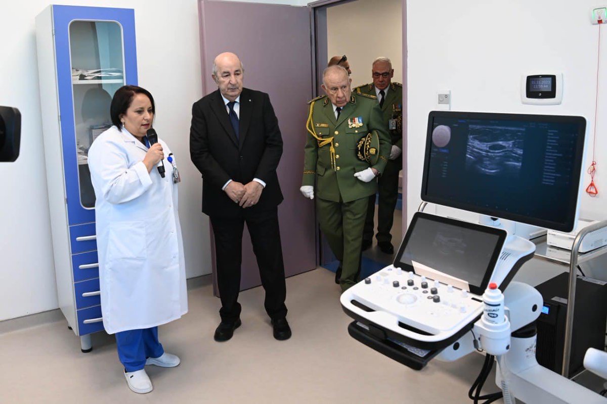 Algeria Project tweet media