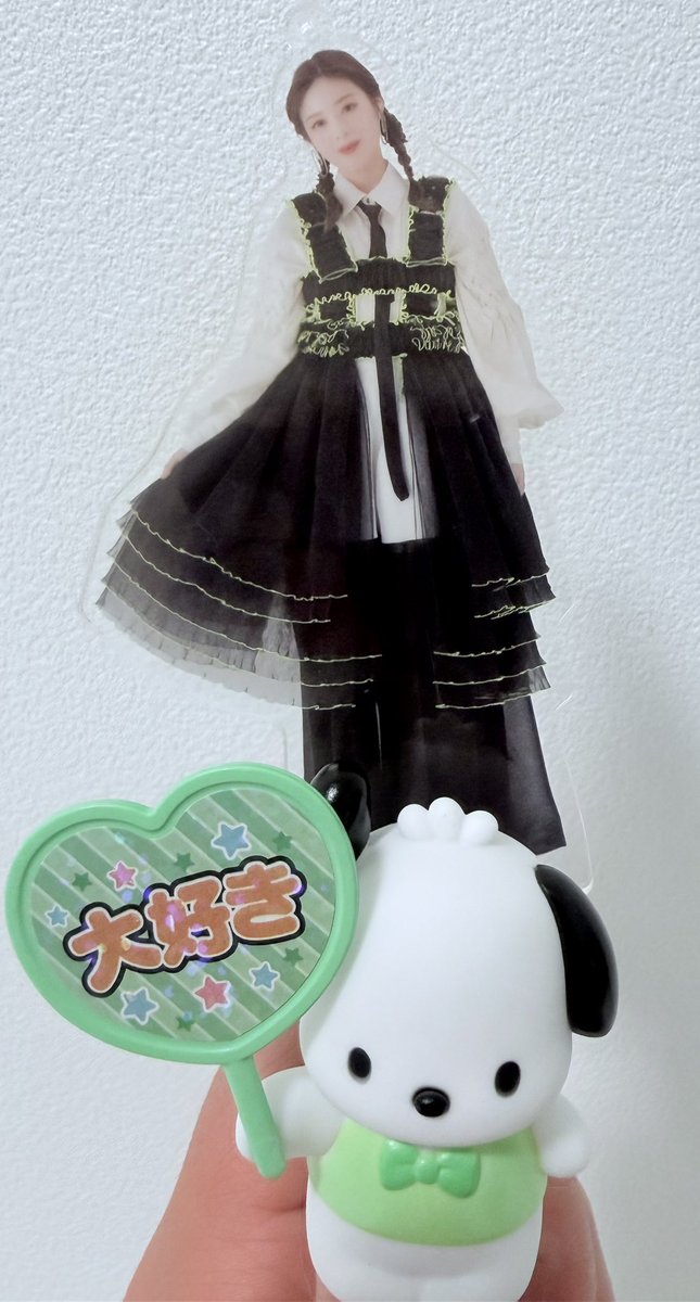 fu_kyon70's tweet photo. 友達がサンリオのランダム買ってきてくれて一緒に開封したらまさかのポチャッコきてくれてまじで大感謝すぎる🥹 https://t.co/9oT8ZAG1ap