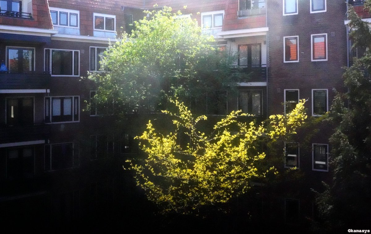 kamasys's tweet image. Amsterdam – de Pijp
kamafotos.nl/2026/05/02/ams…
#kamafotos #photography #architecture #Voigtländer35mm