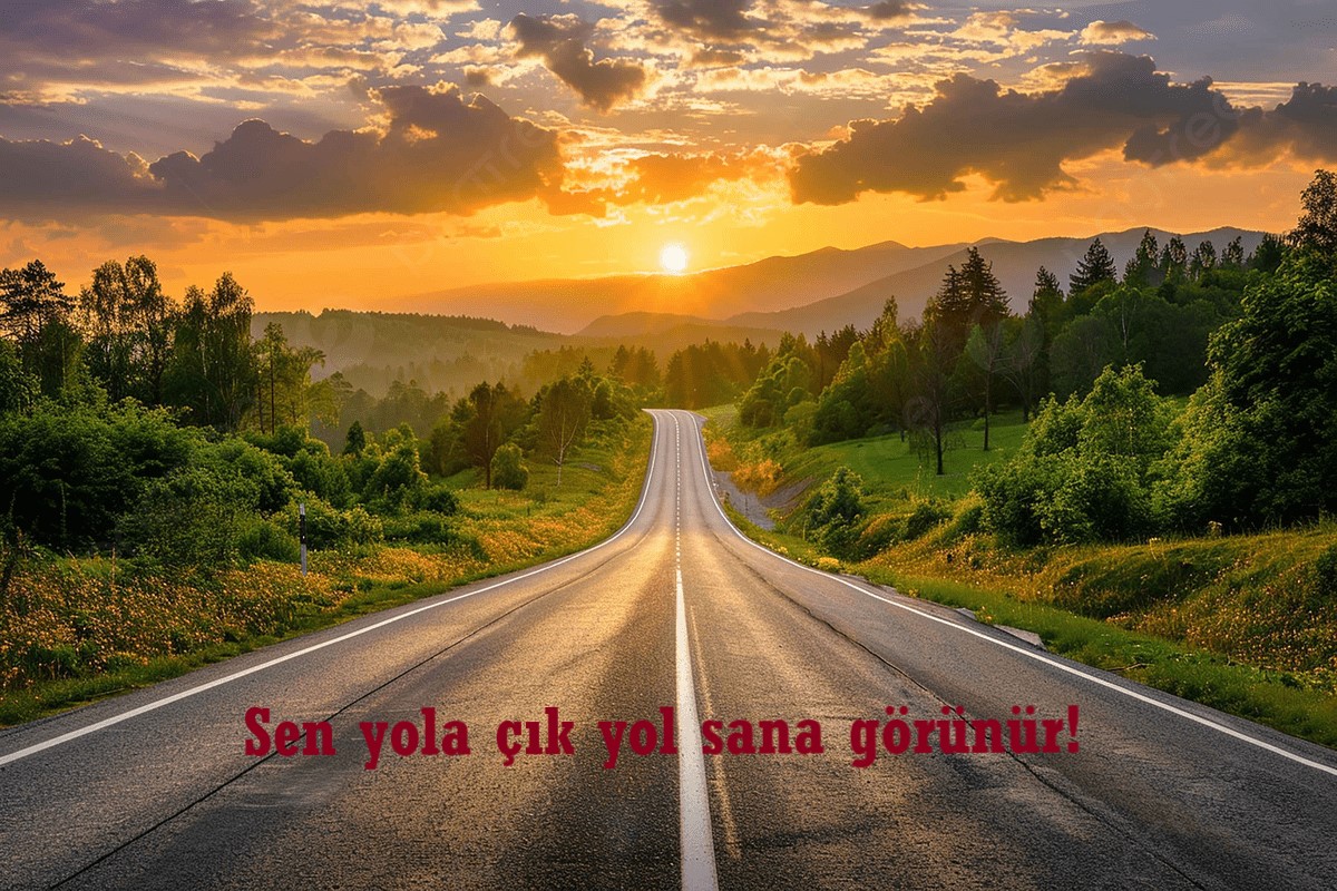mavialp's tweet photo. ... https://t.co/nHA6fMtjHL