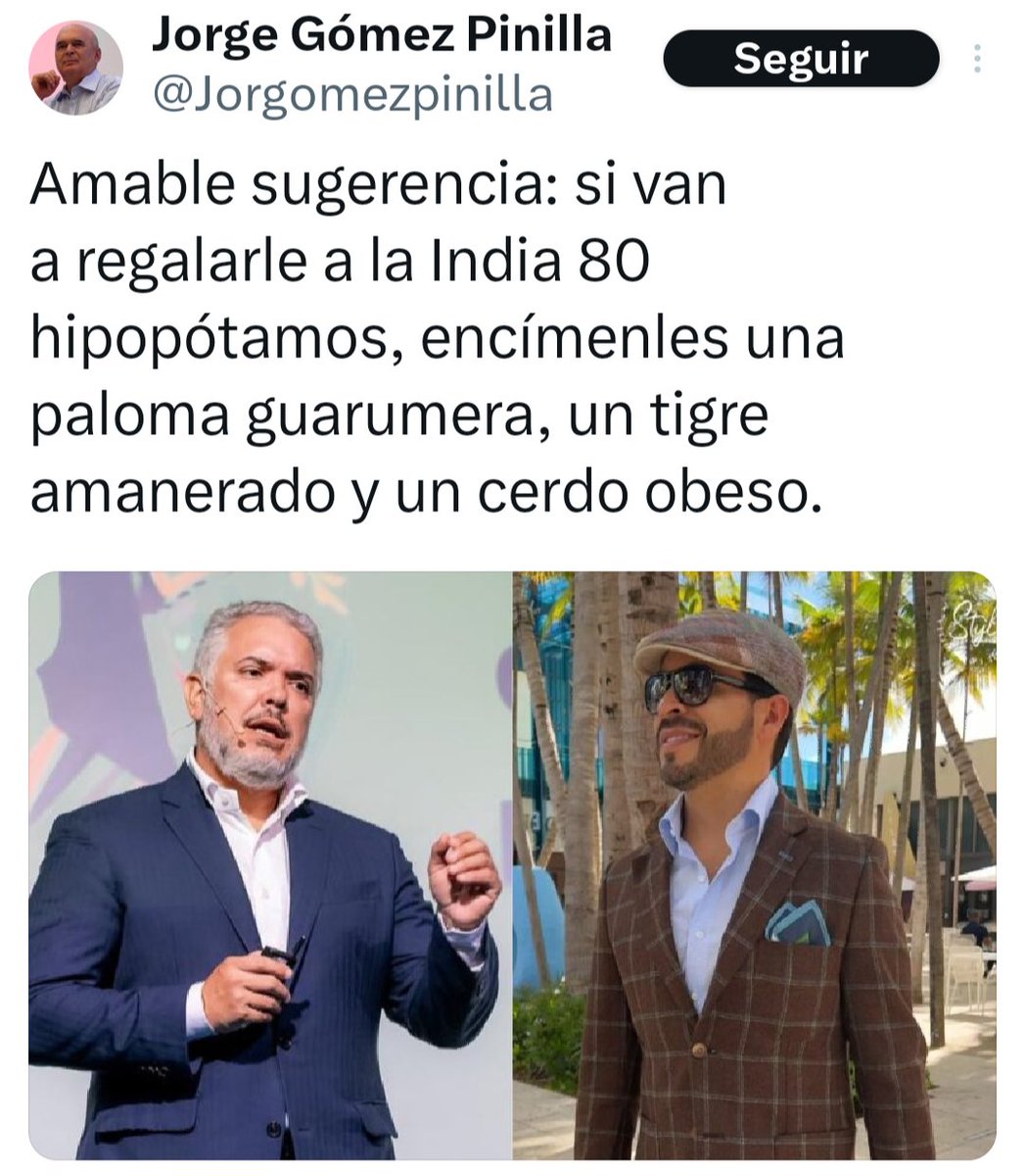 analista 2024 tweet media