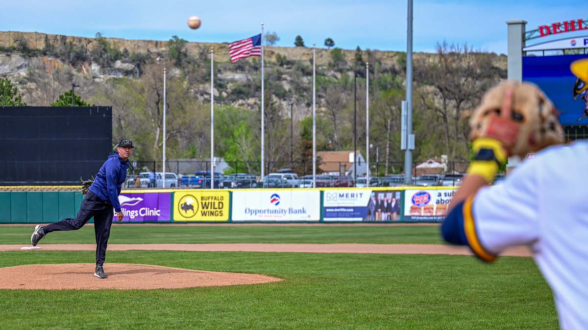 MSUB Baseball tweet media