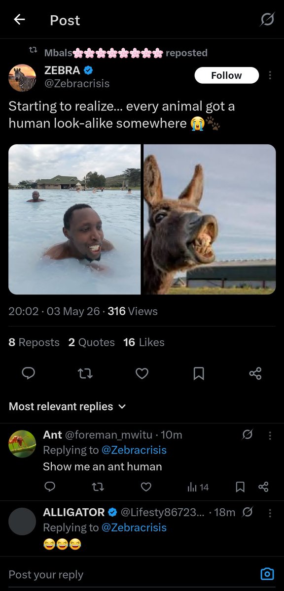 Rolivhuwa 🫶🏾 tweet media