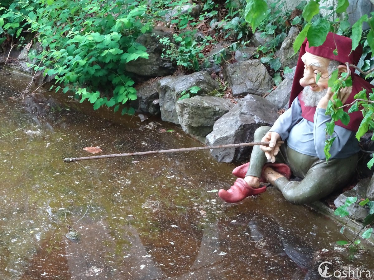 Coshira_'s tweet photo. De hengel van de kabouter is weer hoger gezet. De dobber beweegt nog steeds, maar de hengel nog niet.
#Efteling #Kabouterdorp #Sprookjesbos https://t.co/d4ehLGQFnI