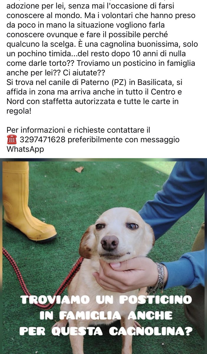 Fiorella Arcodia 🌿𝐠𝐨𝐯𝐞𝐠𝐚𝐧 🐑💚💙☮️ tweet media