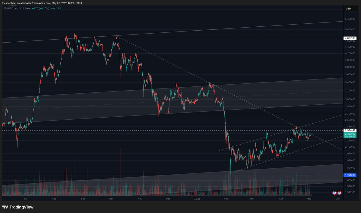 THE SHORT BEAR tweet media
