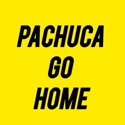 Zorro Azul 🦊 Pachuca Go Home tweet media
