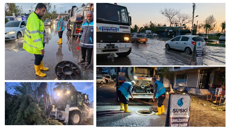 Urfa ajans ay tweet media