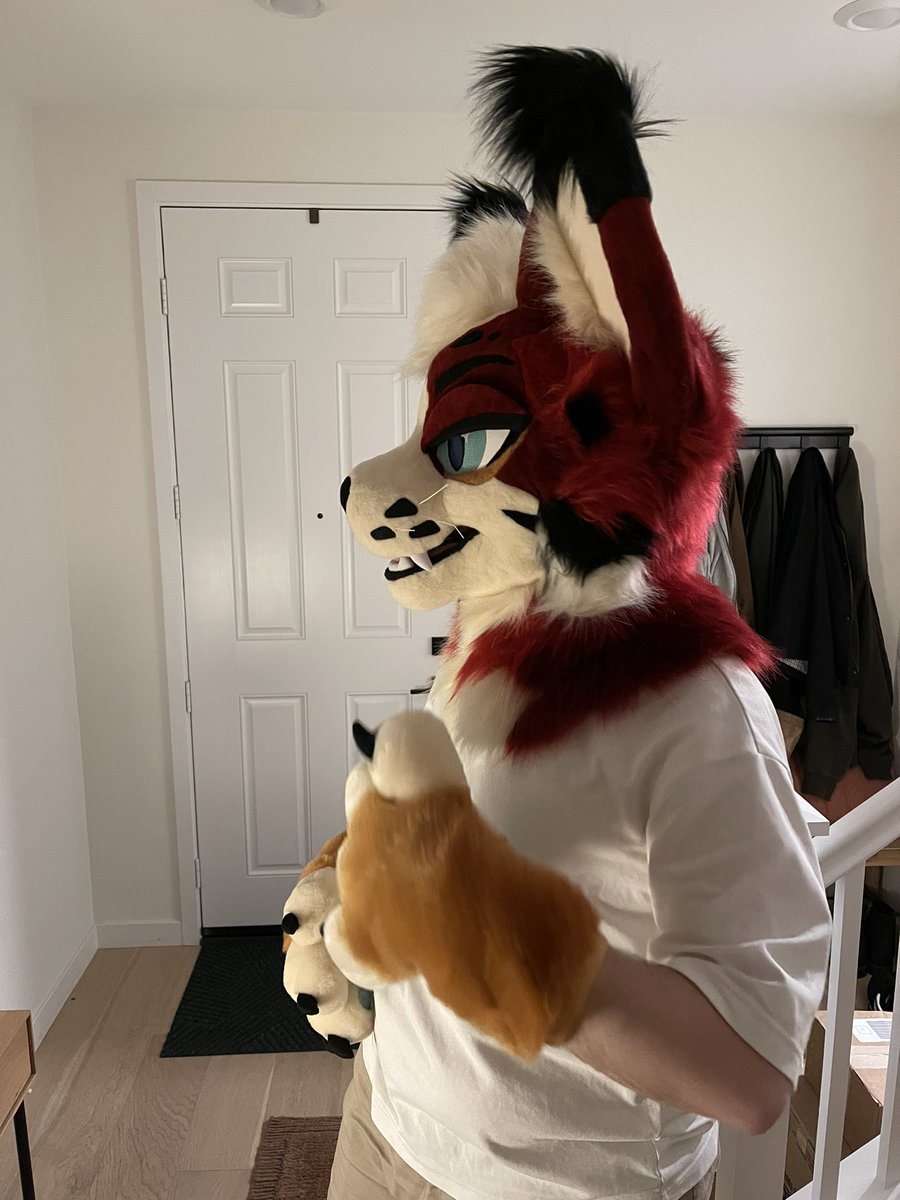 ✨Aster 🔜 Anthrohio 🎨NotSafeForHoofs tweet media