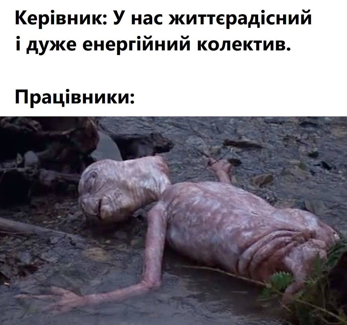 Частина VI: 
*Душнотелло - це я 🐢
