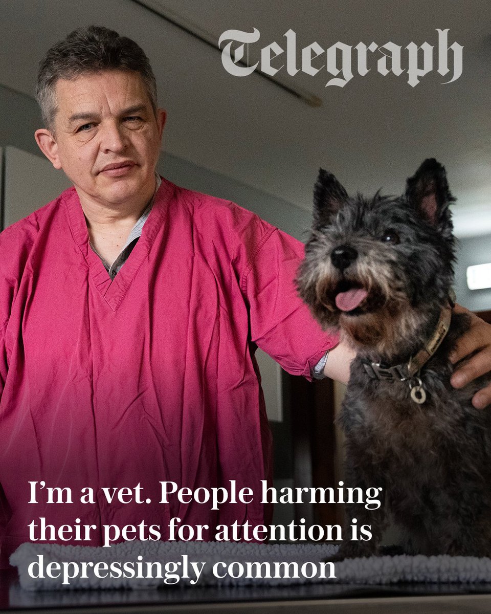 The Telegraph tweet media