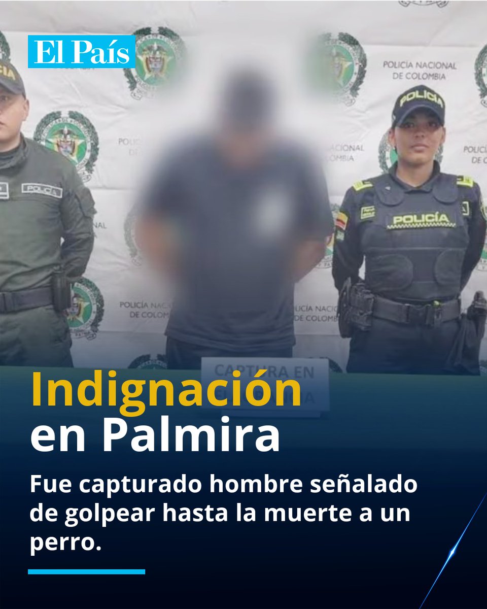 El País Cali 📰 tweet media