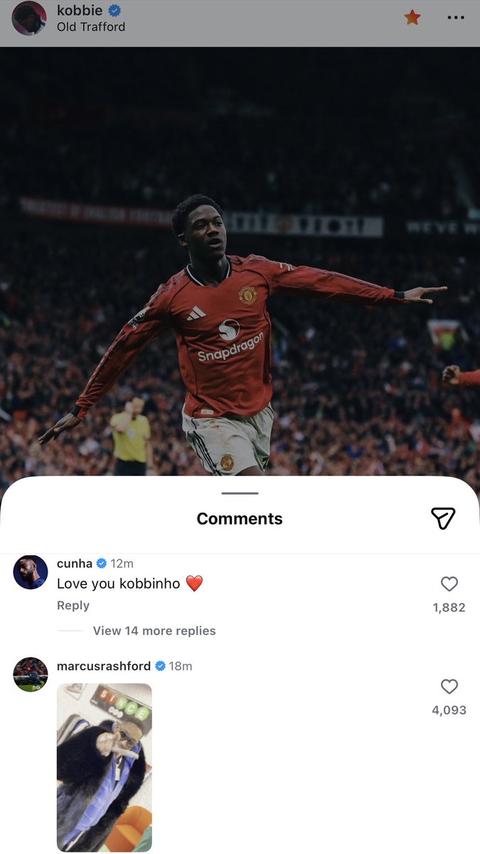 Utdtruthful's tweet photo. 📲 Matheus Cunha and Marcus Rashford under Kobbie Mainoo’s comment:

“Love you Kobbinho” ❤️🫵🏽 https://t.co/kJSDqmJZzy