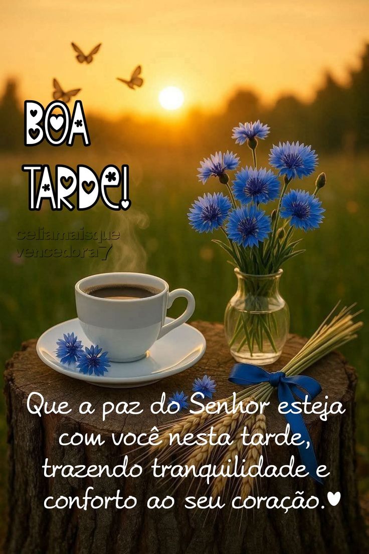 Helenice Alves tweet media