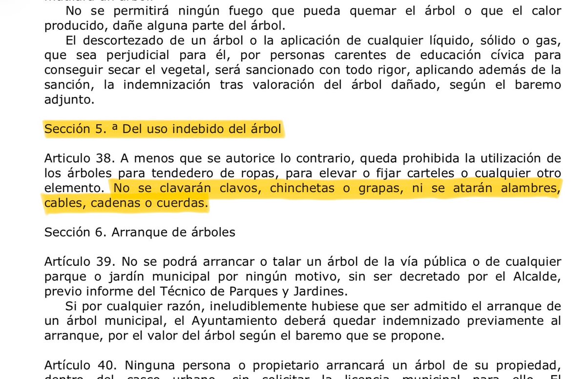 Calle Menor tweet media