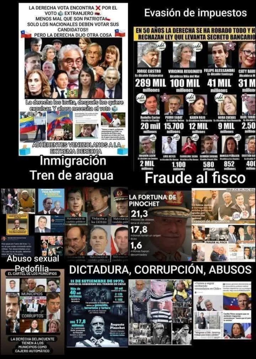 Matylo 🐾 tweet media
