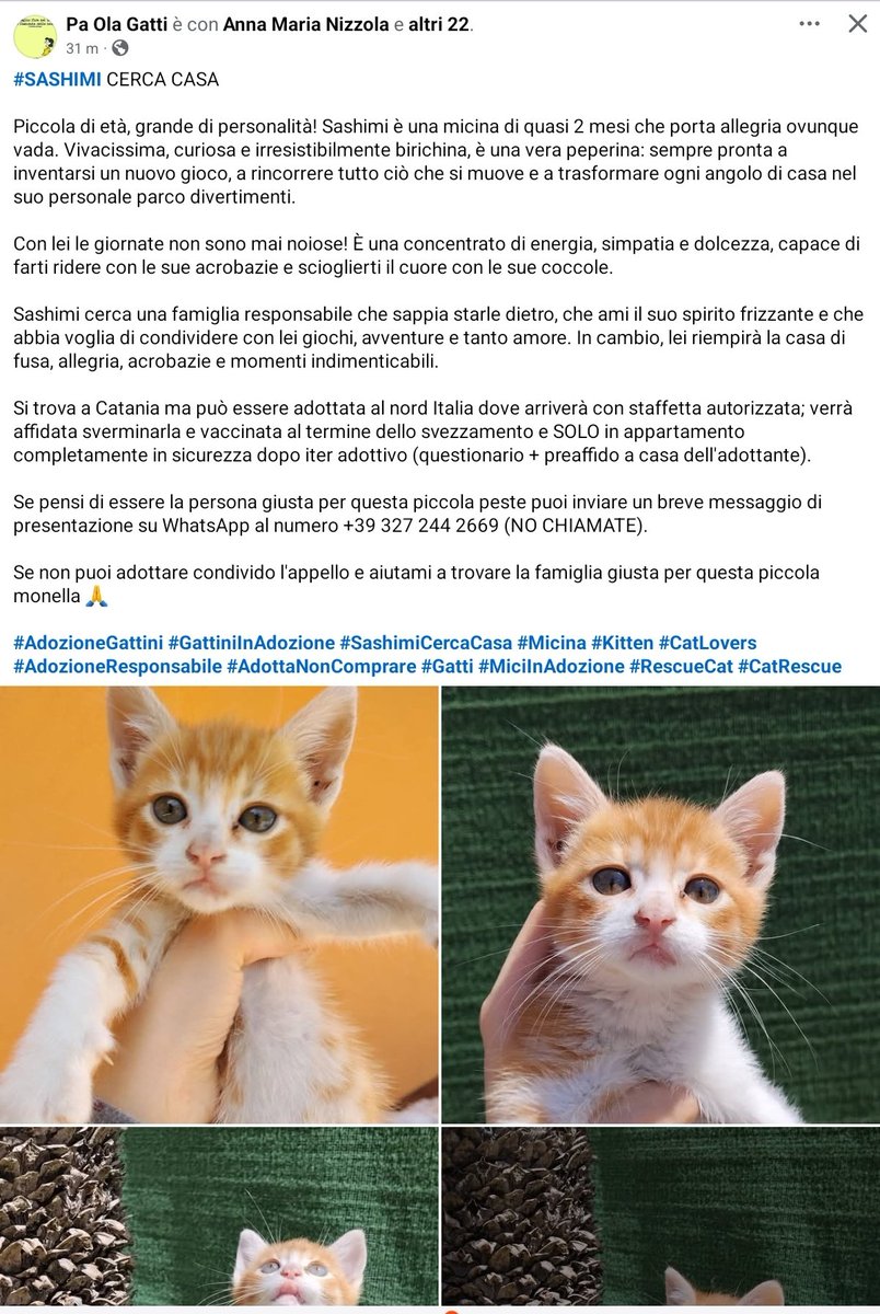 un atto d'amore odv tweet media