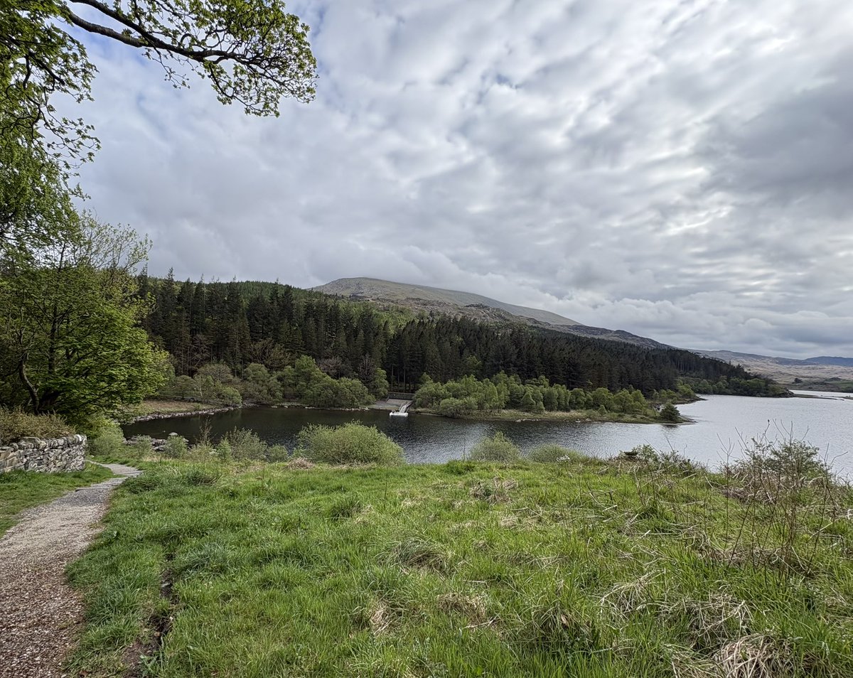 Knight584225711's tweet image. #MoelSiabod #Snowdonia #Wales