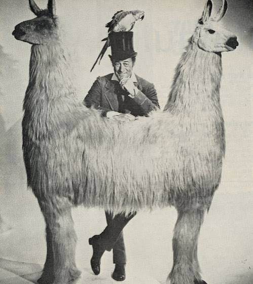 Alpaca tweet media