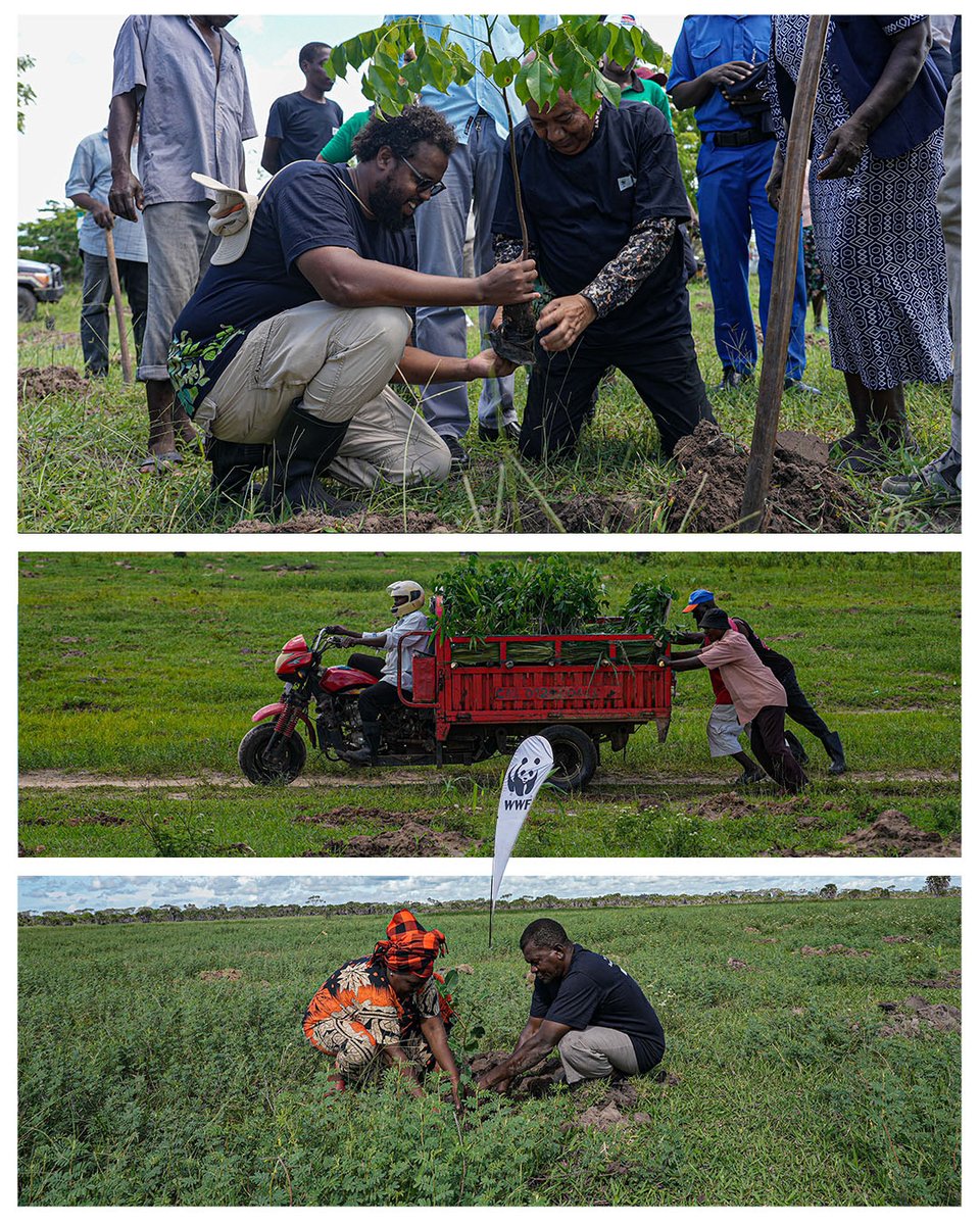 WWF-Kenya tweet media