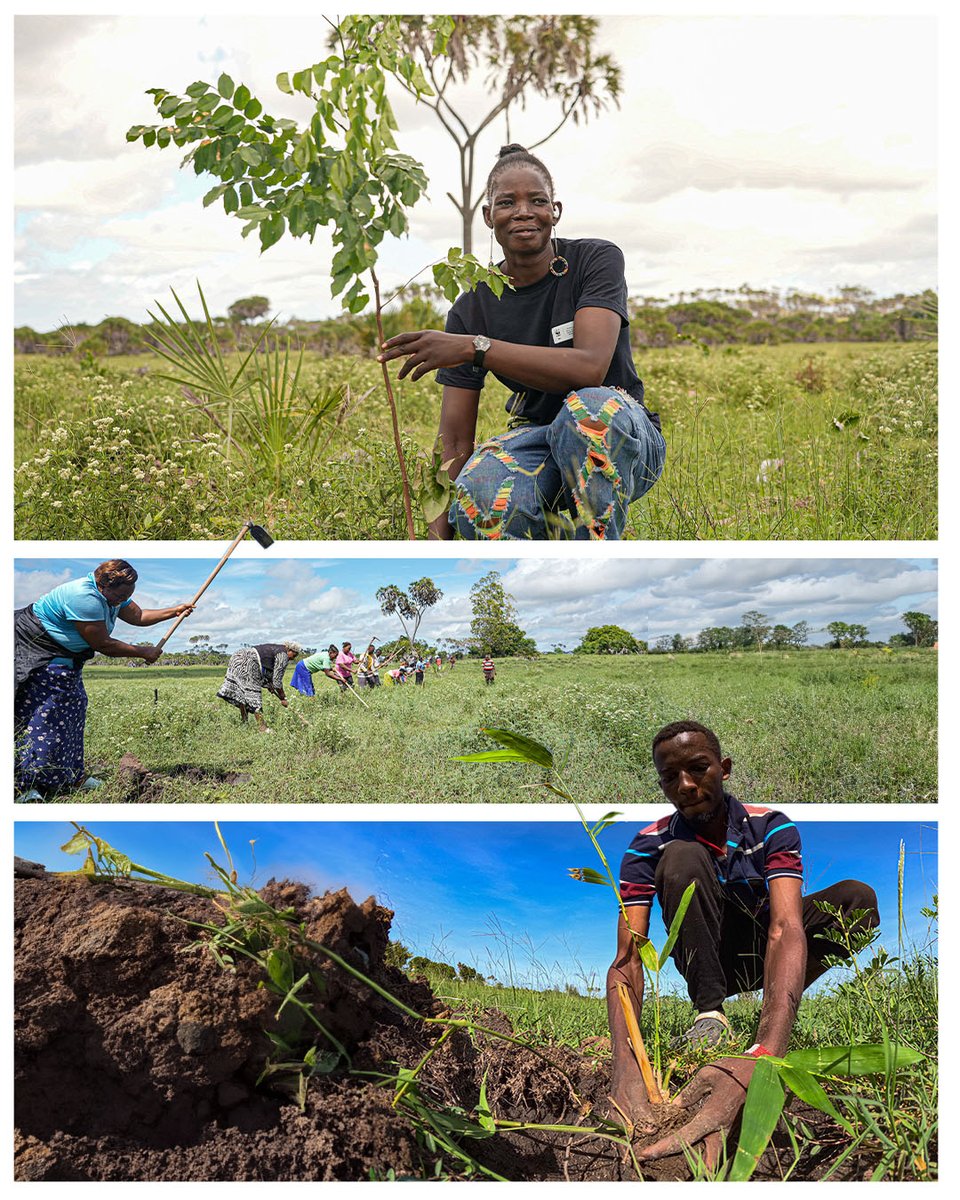 WWF-Kenya tweet media