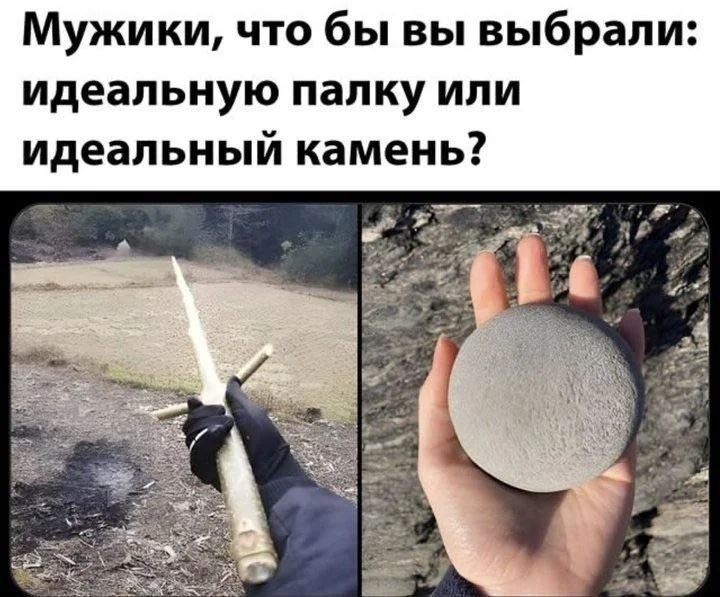 Дантес tweet media
