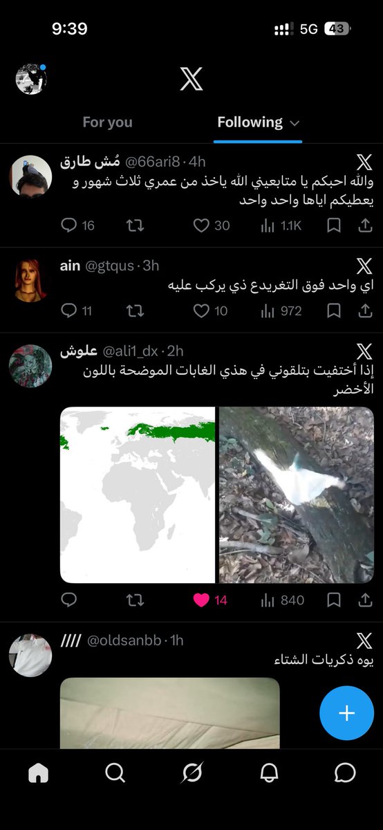 ᴧ tweet media
